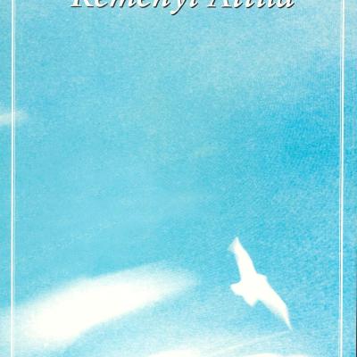 Reményi Attila - Műjegyzék