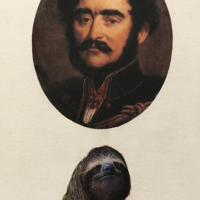 Széchenyi lajhárral
