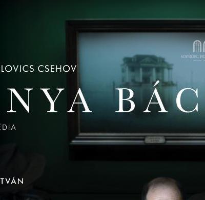 Csehov: Ványa bácsi