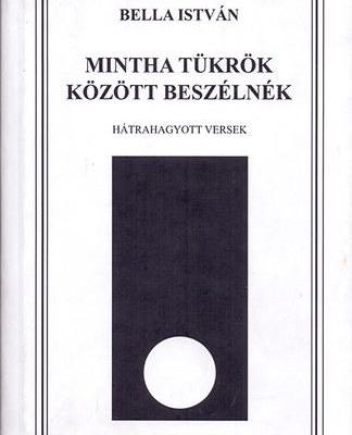 Mintha tükrök között beszélnék