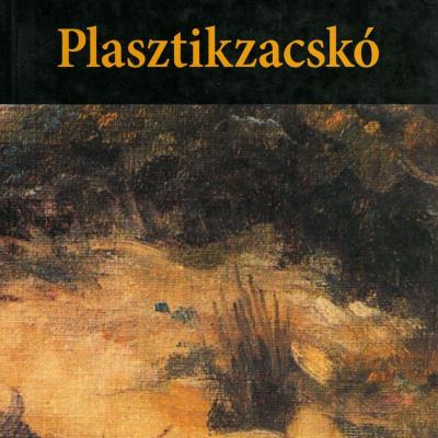 Plasztikzacskó